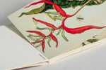 Postkarten-Set Maria Sibylla Merian (Innenansicht)