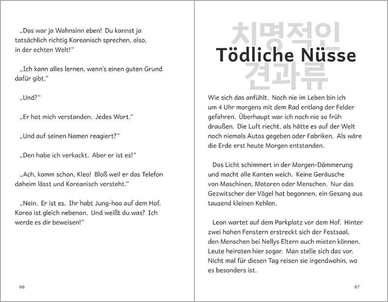 Luftküsse aus Korea (Innenansicht)