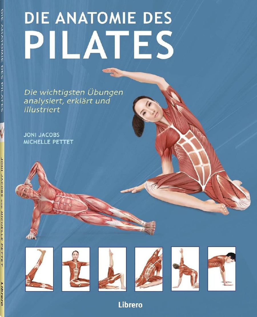 Die Anatomie des Pilates