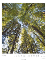 Heimische Wälder Kalender 2027