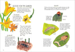 Insect Anatomy (Innenansicht)