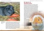 Meerschweinchen (Innenansicht)