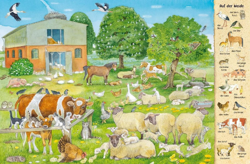 Das 1000 Tiere-Wimmelbuch (Innenansicht)