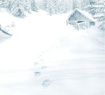 Kant und der sechste Winter (Innenansicht)