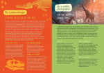 Follow Your Dreams