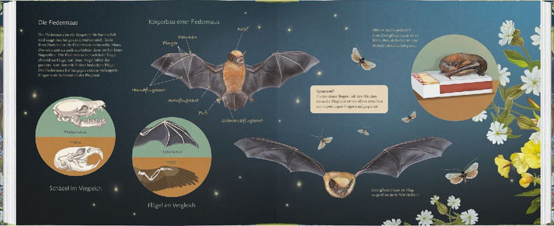 Ich bau dir ein Haus, kleine Fledermaus (Innenansicht)