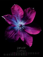 in bloom Kalender 2027 (Innenansicht)