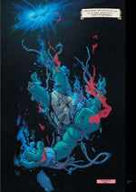 Teenage Mutant Ninja Turtles Splitter Collection 13