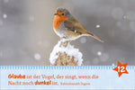Hosentaschenadventskalender 2025 - mit Fotos