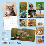 Lustige Tiere / Funny Animals 2027