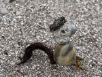 Stranding