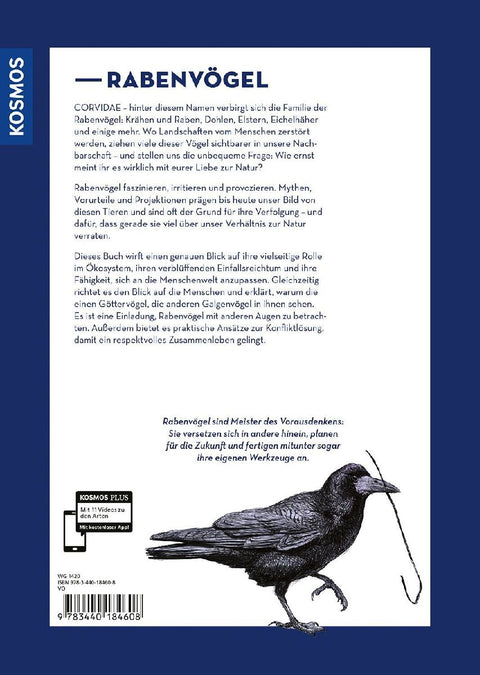 Corvidae