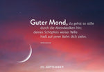 365 Lichtmomente