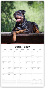 Rottweilers - Rottweiler 2027 - 16-Monatskalender