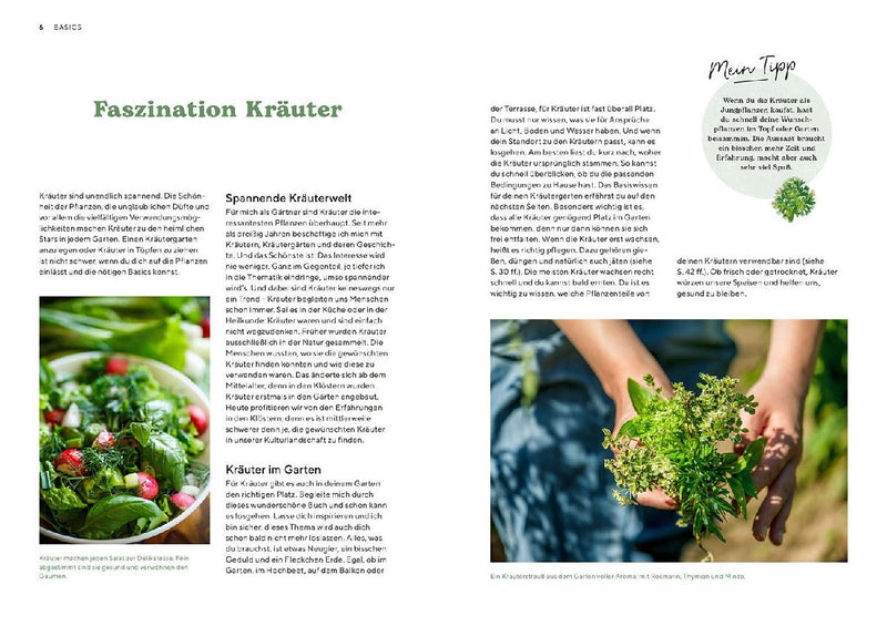 Kräutergarten (Innenansicht)