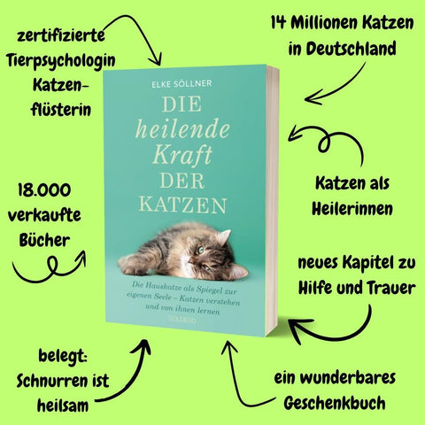 Die heilende Kraft der Katzen