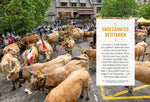 DUMONT Bildatlas Frankreich Südwesten, Okzitanien (Innenansicht)