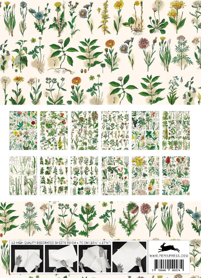Flora (Innenansicht)
