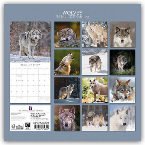 Wolves - Wölfe 2027 - 16-Monatskalender