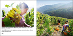 Koblenz bis Bingen / Koblenz to Bingen - Book To Go