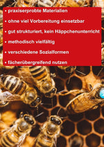 Themenheft Bienen (Innenansicht)