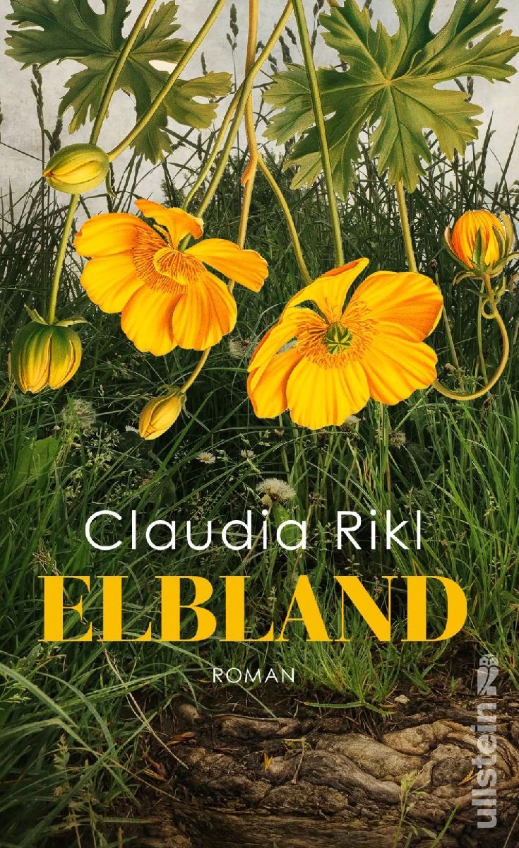 Elbland