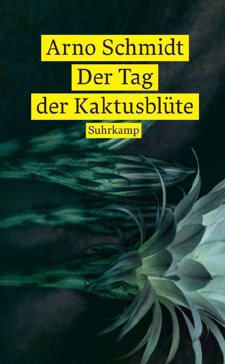 Der Tag der Kaktusblüte