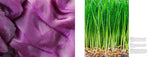 Food & Drink (Innenansicht)