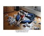 Der herabschauende Hund
