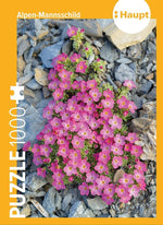 Alpen-Mannsschild - Puzzle. 1000 Teile