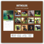 Rottweilers - Rottweiler 2027 - 16-Monatskalender
