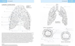 Das Lehrbuch der Anatomie (Innenansicht)