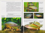 Regenbogenfische