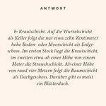 Wald-Quiz