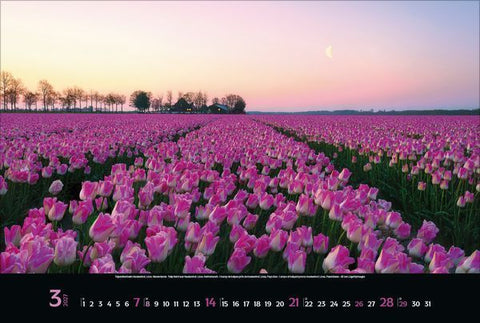 Colourful Seasons 2027