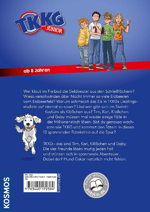 TKKG Junior, Kein Hitzefrei für Detektive - 12 spannende Ratekrimis