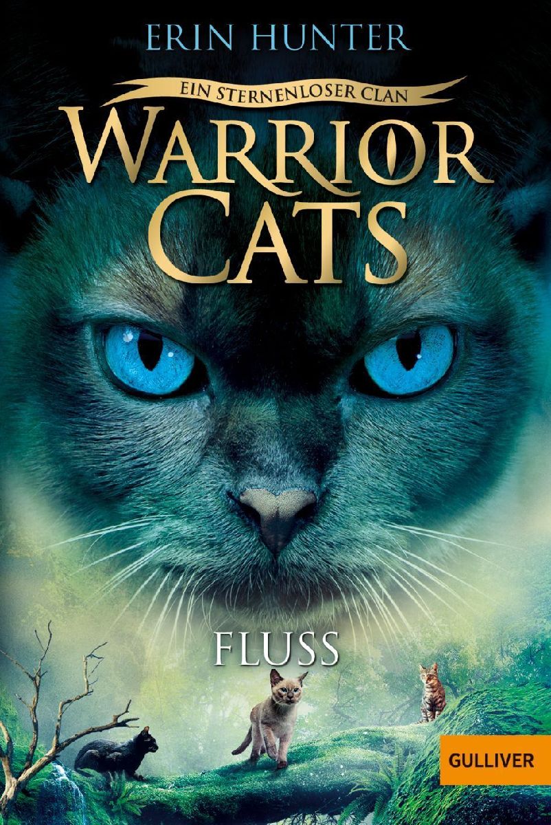 Warrior Cats - Ein sternenloser Clan. Fluss