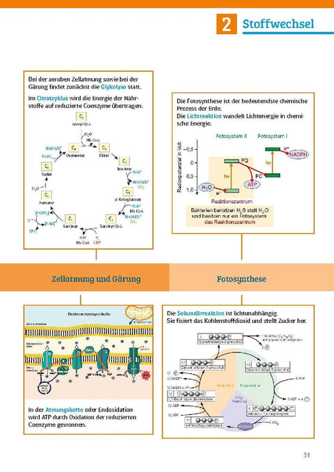 Sicher im Abi Biologie