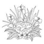 333 Ausmalen - Wunder der Natur
