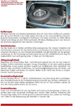 Austin Healey (Innenansicht)