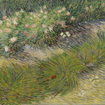 van Gogh - From Vincent's Garden 2027