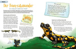 Stacheln, Schleim & spitze Zähne! Mein Bestiarium der außergewöhnlichen Tiere (Innenansicht)