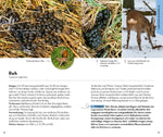 BASIC Tierspuren (Innenansicht)
