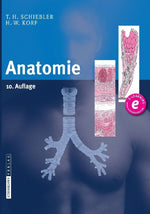Anatomie