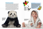 Entdecke die Pandas (Innenansicht)