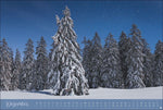 Zauberwälder Edition Kalender 2027