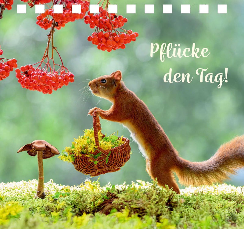 Einfach gute Wünsche (Innenansicht)