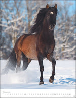 Pferde Classics Posterkalender 2027