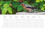 Tischkalender Vogel 2027