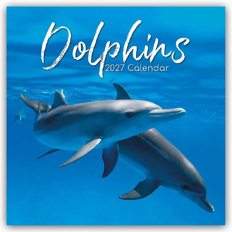 Dolphins - Delfine - Delphine 2027 - 16-Monatskalender